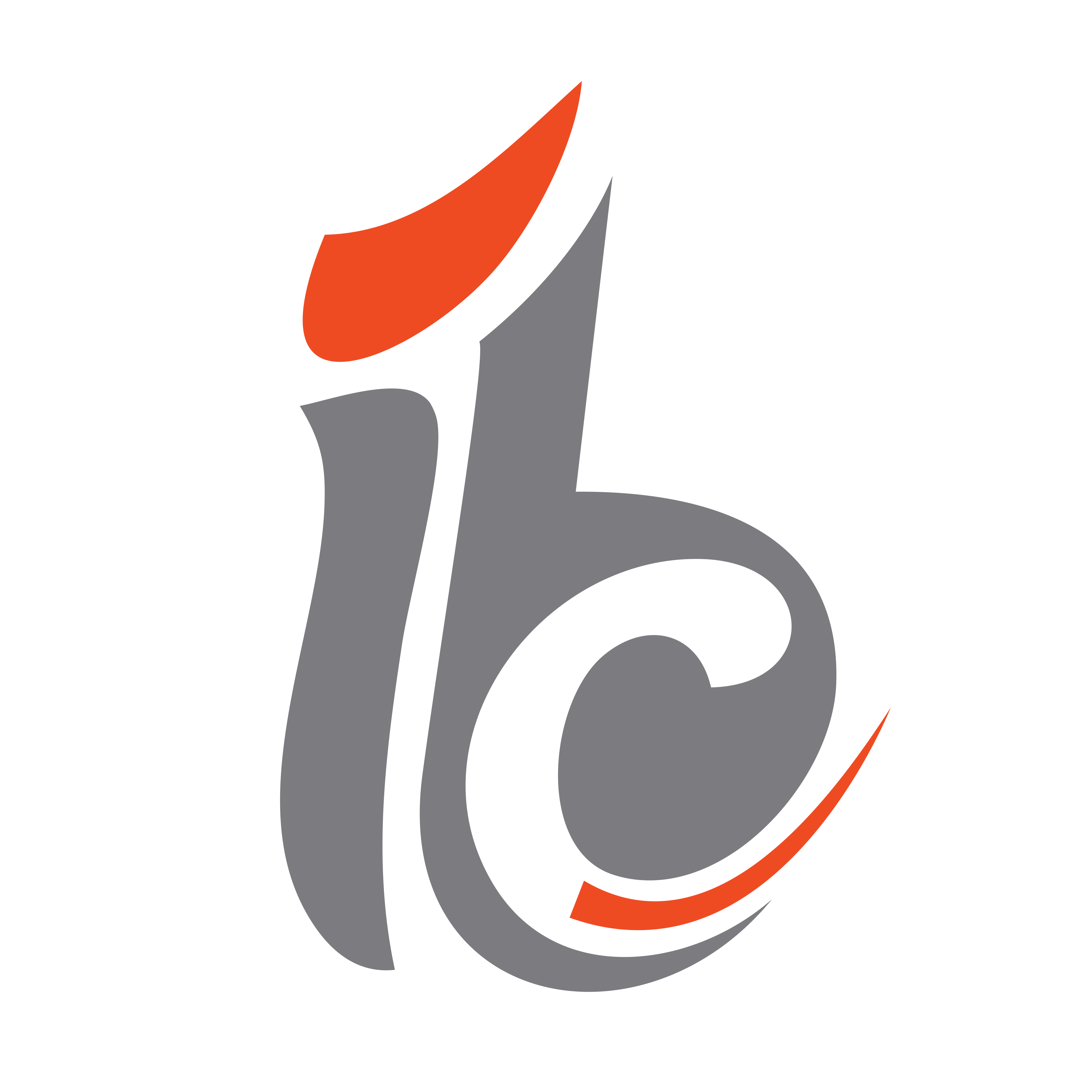 IBC Logo